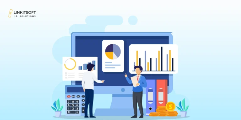 custom accounting software